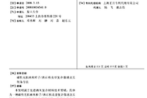 磁性無機(jī)納米粒子/沸石核殼型復(fù)合微球及其制備方法