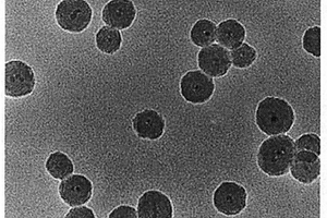 水溶性核殼磁光雙功能納米粒子及其制備方法