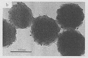 通過(guò)溫敏性大分子單體兩步法制備納米金的方法