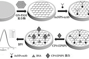 檢測作物中CP4-EPSPS蛋白的電化學(xué)免疫傳感器