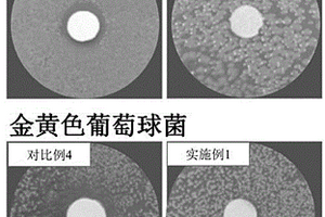 性能優(yōu)異的接觸抗菌材料及其制備方法