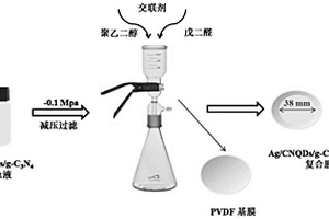 Ag/CNQDs/g-C3N4-PVDF可見(jiàn)光催化自清潔微濾膜的制備方法及用途