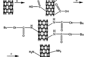 伯胺基化碳納米管的制備方法