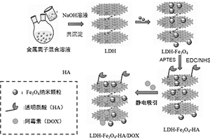 HA靶向的雙金屬氫氧化物-超小鐵納米材料及其制備和應用