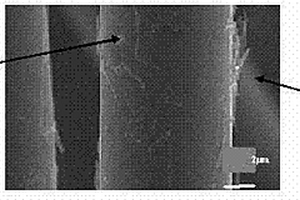 功能化碳纖維的制備方法