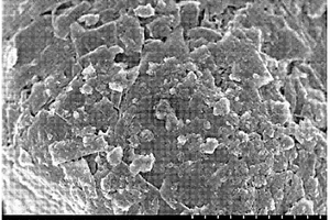 電極負(fù)極材料及其制備方法