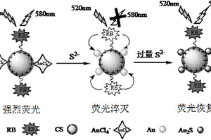 硫離子的檢測方法