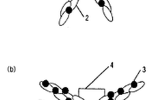 光催化劑復(fù)合結(jié)構(gòu)體及其制備方法