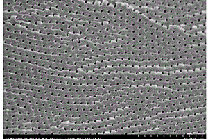 制備聚偏氟乙烯納米陣列孔膜的方法