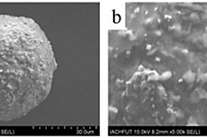 具有優(yōu)異綜合力學(xué)性能的WC-Co-Y<Sub>2</Sub>O<Sub>3</Sub>硬質(zhì)合金及其制備方法