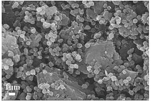 采用一鍋法制備氮摻雜多孔石墨化碳?xì)饽z微球的方法