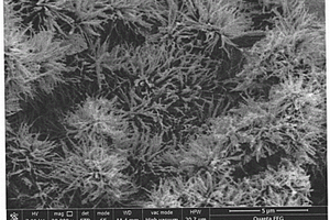 WP<Sub>2</Sub>/Cu<Sub>3</Sub>P復合納米結(jié)構(gòu)催化劑在電解水產(chǎn)氫方面的應用