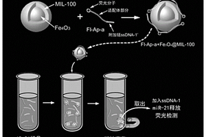 熒光傳感材料及其在microRNA富集和/或檢測中的應(yīng)用