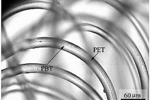 PBT-PET復(fù)合彈力纖維及其制備方法