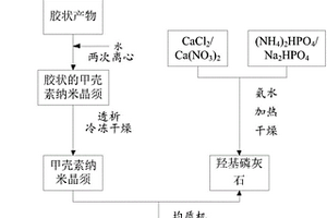 甲殼素納米晶須/羥基磷灰石復(fù)合人工骨材料及其制備方法和在3D打印中的應(yīng)用