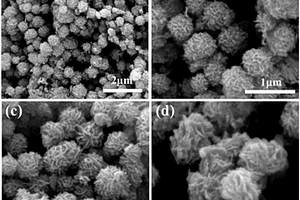 花球狀TiO<sub>2</sub>/MoO2復(fù)合納米材料、制備方法及應(yīng)用