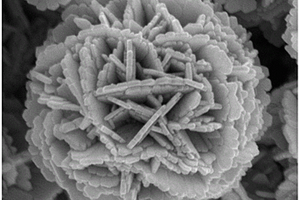 牡丹花狀C@SnS<sub>2</sub>鋰電池負(fù)極材料的制備方法