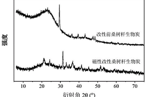 磁性桑樹桿生物炭吸附劑的制備方法