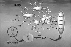 生物炭負(fù)載納米零價(jià)鐵活化過硫酸鈉體系及其制備和應(yīng)用