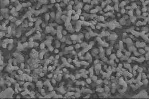 Cu-MOF/BiVO<sub>4</sub>復合光電極的制備方法和應用