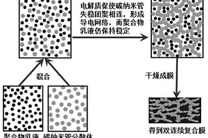 碳納米管聚合物復合導電材料及其制備方法