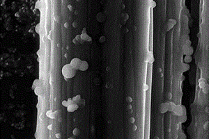 碳纖維表面功能化的表面改性方法
