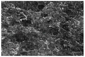 硼硫共摻雜石墨烯及制備方法及應(yīng)用其制備AFB<Sub>1</Sub>的電化學(xué)傳感器