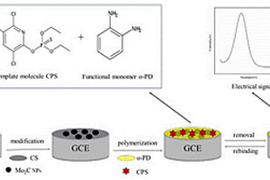 毒死蜱分子印跡電化學(xué)傳感器的制備方法