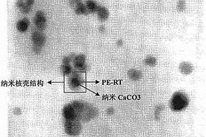 納米核殼結(jié)構(gòu)及β晶協(xié)同增韌聚丙烯的方法