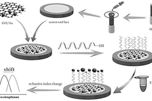 光纖LSPR適配體生物傳感器及其制備方法和應(yīng)用