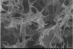 三維彈性氮摻雜的碳泡沫復(fù)合電極材料及其制備方法