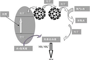 硫化鉬雜化富勒烯材料及在近紅外光脫氮中的應(yīng)用