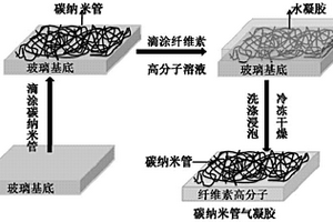 具有水傳感功能的碳納米管柔性導(dǎo)電氣凝膠及其制備方法