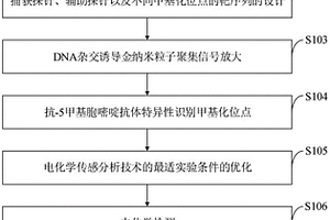 DNA甲基化位點(diǎn)分析方法、DNA生物傳感器