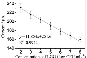 檢測LGG的電化學(xué)免疫傳感器及其制備和使用方法