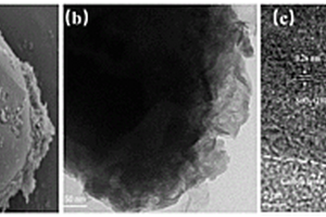 鋰離子電池SnO<Sub>2</Sub>/生物多孔碳負(fù)極材料的制備方法