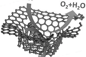 基于多孔碳材料的水氧化反應(yīng)催化劑及其制備方法