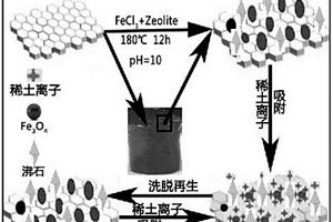 高效再生吸附稀土離子的三維磁性石墨烯/沸石材料的制備方法