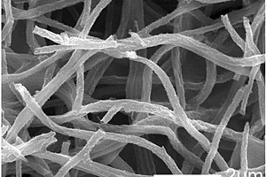 氮摻雜碳納米點/磁性金屬氧化物復(fù)合納米纖維材料、制備方法及其應(yīng)用