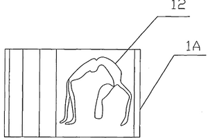 全再生塑料建筑模板