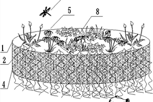 黑臭水體修復(fù)治理的生態(tài)浮島
