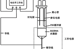 水凝膠電極的制備方法與應(yīng)用