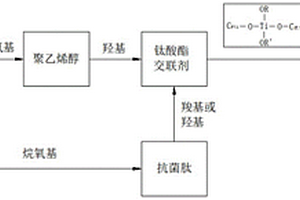 低溫交聯(lián)的聚乙烯醇復合抗菌肽材料的制備方法