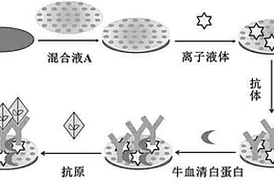 有序介孔碳構(gòu)建的婦科腫瘤標(biāo)志物免疫傳感器制備及應(yīng)用