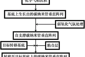 大面積碳納米管垂直陣列快速無(wú)損轉(zhuǎn)移方法