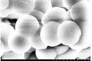 介孔二氧化硅/聚吡咯納米材料修飾的微生物燃料電池陽(yáng)極制備方法