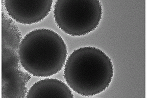 氧化鉬/二硫化鉬核殼微球的制備方法