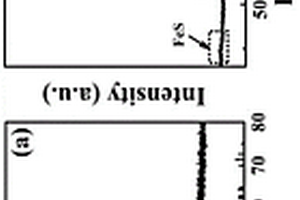 非金屬摻雜碳/硫化亞鐵復(fù)合物的制備方法