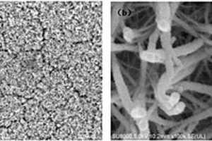 性能優(yōu)異的雙層納米線分級結(jié)構(gòu)NiCo2O4-ZnCo2O4復(fù)合電極材料