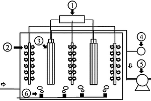 直接耦合膜生物反應(yīng)器和微生物燃料電池的反應(yīng)器和廢水處理方法